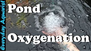 How To Aerate amp Oxygenate Your Pond [upl. by Eelyek]