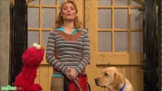 Sesame Street Gina Explains Service Dogs [upl. by Adnohral]