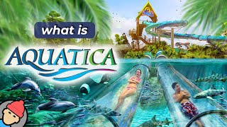 Aquatica Orlando Overview [upl. by Lanni]