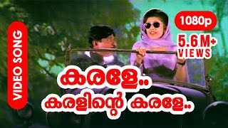 Ee Mizhikalen Ormayundo Ee Mukham  Vineet Sreenivasan Namitha Pramod Full song HD video [upl. by Lodie550]