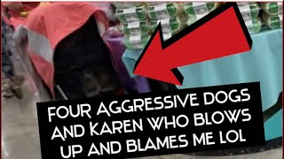 AGGRESSIVE FAKE SERVICE DOGS  SHE BLAMES MY DOG [upl. by Victory173]