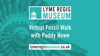 Lyme Regis Museum  Virtual Fossil Walk [upl. by Semaj697]