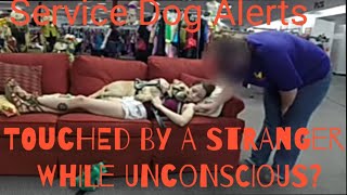 SERVICE DOG ALERTS  TOUCHED WHILE UNCONSCIOUS BY A STRANGER [upl. by Conan553]