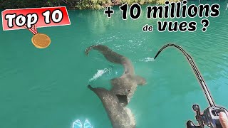 Les 10 Vidéos de Pêche en France LES PLUS VUES [upl. by Tiphanie]