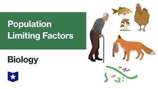 Population Limiting Factors  Biology [upl. by Fowle840]