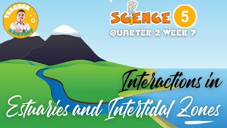 SCIENCE 5 Q2 WEEK 7  INTERACTIONS IN ESTUARIES AND INTERTIDAL ZONES [upl. by Ahsieuqal]