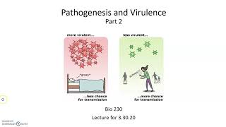 Pathogenesis and Virulence Virulence Factors [upl. by Hare]