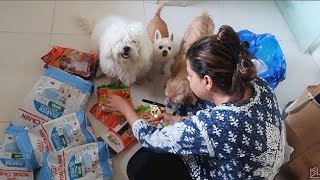 DOGS go CRAZY to see so many treats  GROCERY SETTING  Ss Vlogs [upl. by Merriman]