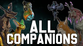 All Companions of Warframe [upl. by Rosemary]