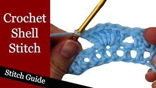 Crochet Shell Stitch  Stitch Guide [upl. by Annwahsal738]