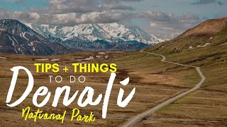 Denali National Park ALASKA  Tips for Visiting  Things To Do [upl. by Gretel792]