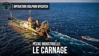 Le carnage de la pêche industrielle  Sea Shepherd [upl. by Aicinad131]