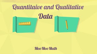 Qualitative and Quantitative Data [upl. by Redla827]