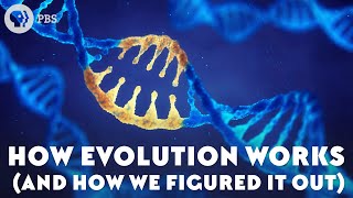 How Evolution Works And How We Figured It Out [upl. by Ahsieyn]