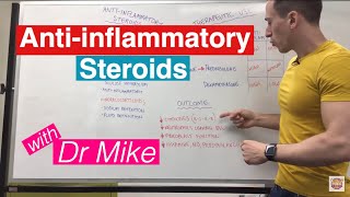 Antiinflammatory Steroids [upl. by Kier]