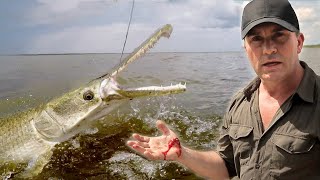 JE ME BLESSE EN CAPTURANT UN ALLIGATORGAR  Cyril Chauquet [upl. by Schroeder]