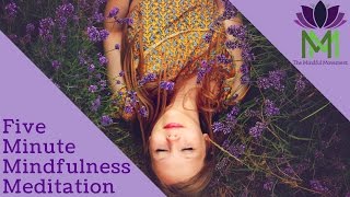 5 Minute Mindfulness Meditation [upl. by Ahsaya]