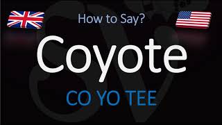 How to Pronounce Coyote  English American Pronunciation [upl. by Hurless382]