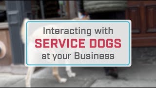 What You Need to Know About Service Dogs [upl. by Ahtebbat210]