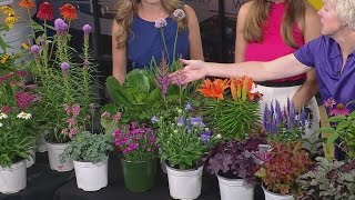 Maximize Your Garden Color With Perennials [upl. by Argent]