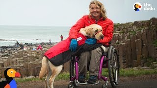 Service Dog Inspires Injured Woman To Live Life To The Fullest  The Dodo [upl. by Laflam549]