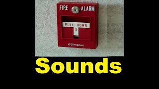 Fire Alarm Sound Effects All Sounds [upl. by Lavery]