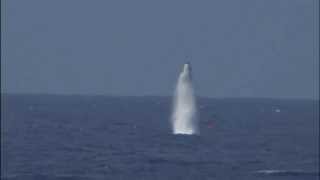 USS West Virginia testfiring Trident II SLBMs [upl. by Nethsa]