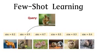 FewShot Learning 13 Basic Concepts [upl. by Dnaltruoc]