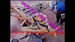 Service Dog Alerts Owner Before They Faint [upl. by Petrine]