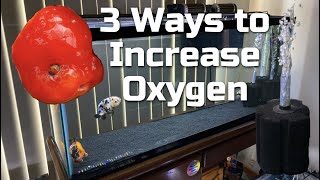 THREE WAYS TO INCREASE OXYGEN LEVEL IN A FISH TANK [upl. by Adeuga]