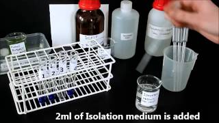 Photosynthesis in chloroplasts Hill Reaction [upl. by Teerprug]