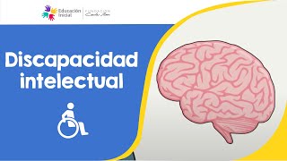 Discapacidad intelectual [upl. by Narine]