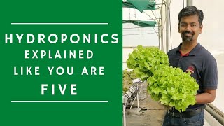 Basic Hydroponics Explained for Beginners [upl. by Yazbak176]