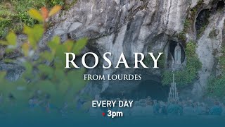 Rosary from Lourdes  26022025 [upl. by Egag]