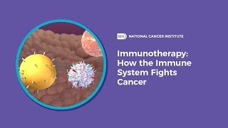 Immunotherapy How the Immune System Fights Cancer [upl. by Nitin844]