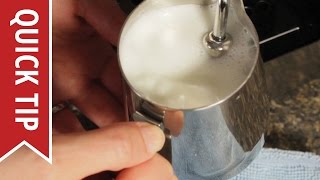 How to AutoFroth Milk for Lattes [upl. by Wenona]