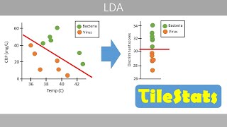 Linear discriminant analysis LDA  simply explained [upl. by Sudnor]