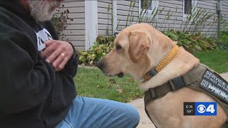 Service dog giving veterans hope when struggling with PTSD [upl. by Haelahk]