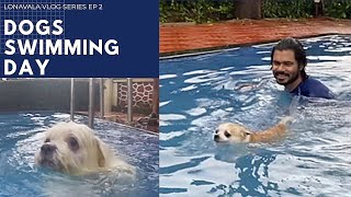 Dogs SWIMMING Day  LONAVALA vlog series  Ep 2  Ss vlogs [upl. by Sairtemed420]