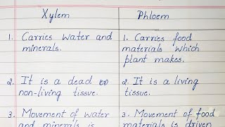 Difference between Xylem and Phloem [upl. by Yodlem]