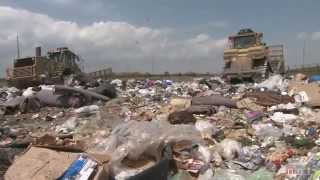 Tossed Out Food Waste in America [upl. by Fidela281]