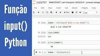 Função input em Python Curso para iniciantes  Aula 6 [upl. by Ytsanyd]