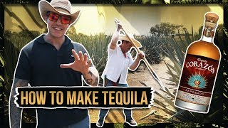 HOW TEQUILA IS MADE [upl. by Whitson497]