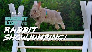 The Worlds Cutest Sport  Rabbit Show Jumping [upl. by Sdlonyer40]