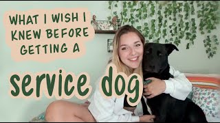 what I wish I had known before getting a service dog [upl. by Yebloc]