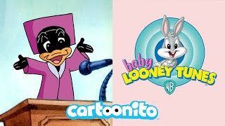 Baby Looney Tunes  Playing School  Cartoonito UK [upl. by Haon458]