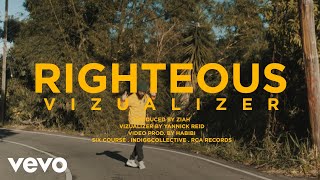 Protoje  Righteous Visualizer [upl. by Eeliah]