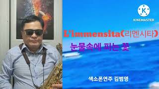 리멘시타 Limmensita 눈물속에 피는 꽃불후의명곡Alto Saxophone cover 김범영 [upl. by Etak26]