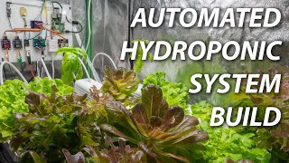 Build an Automated Hydroponic System [upl. by Anairuy963]