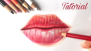 How To Draw Lips  Colored Pencil Tutorial [upl. by Fulviah]